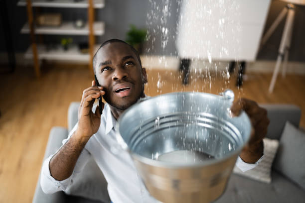 Best Basement water damage restoration  in Jeffersonville, KY