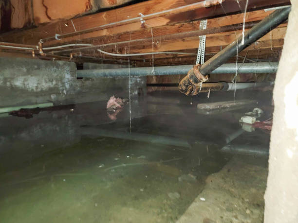 Water damage restoration process in KY