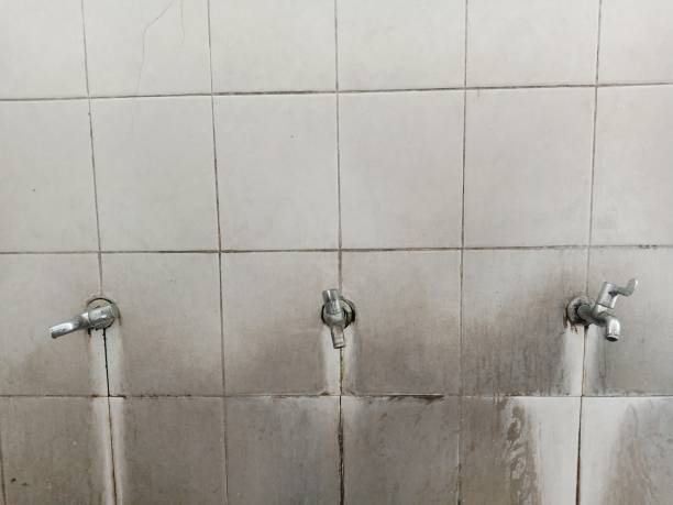 Best Water damage cleanup near me  in Jeffersonville, KY