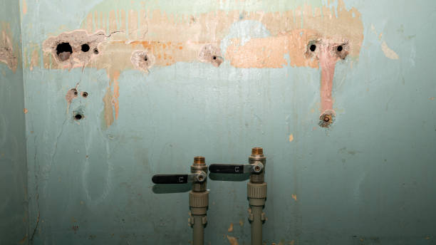Best Water damage restoration process  in Jeffersonville, KY