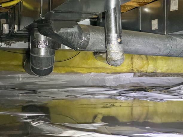 Best Flood damage cleanup  in Jeffersonville, KY