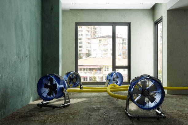 Water damage restoration experts in KY